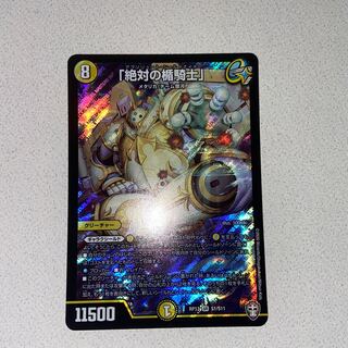 「絶対の楯騎士」