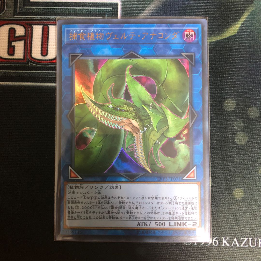 捕食植物ヴェルテ・アナコンダ UR