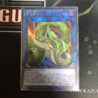 捕食植物ヴェルテ・アナコンダ UR