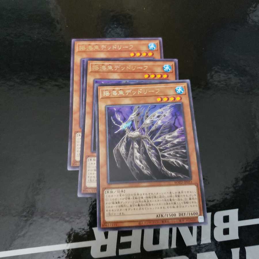 揺海魚デッドリーフ R