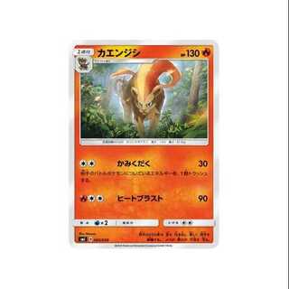 4枚セット/SMI-005/カエンジシ②