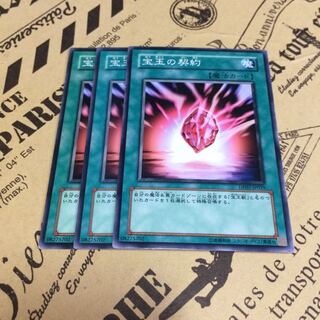 宝玉の契約【N】