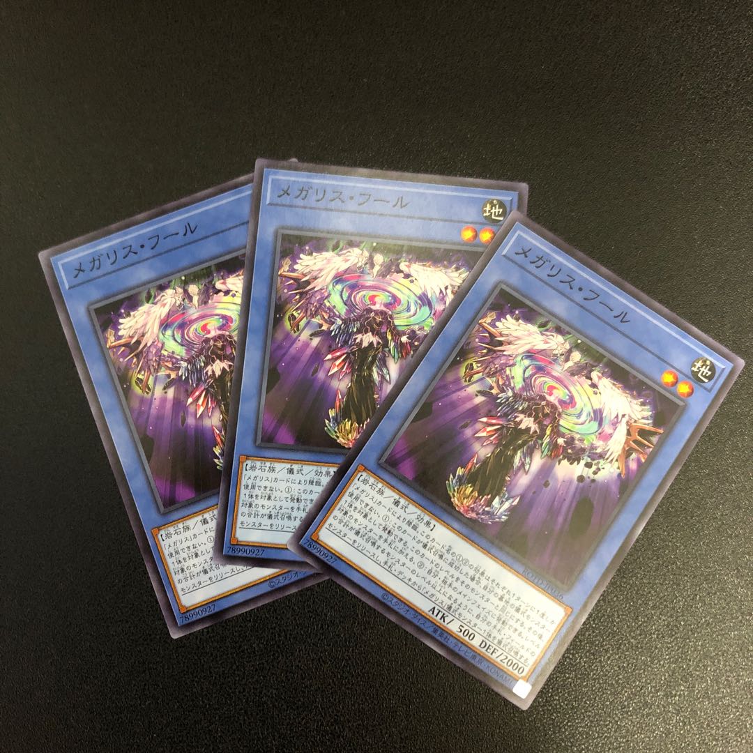 【N】メガリス・フール【ノーマル】