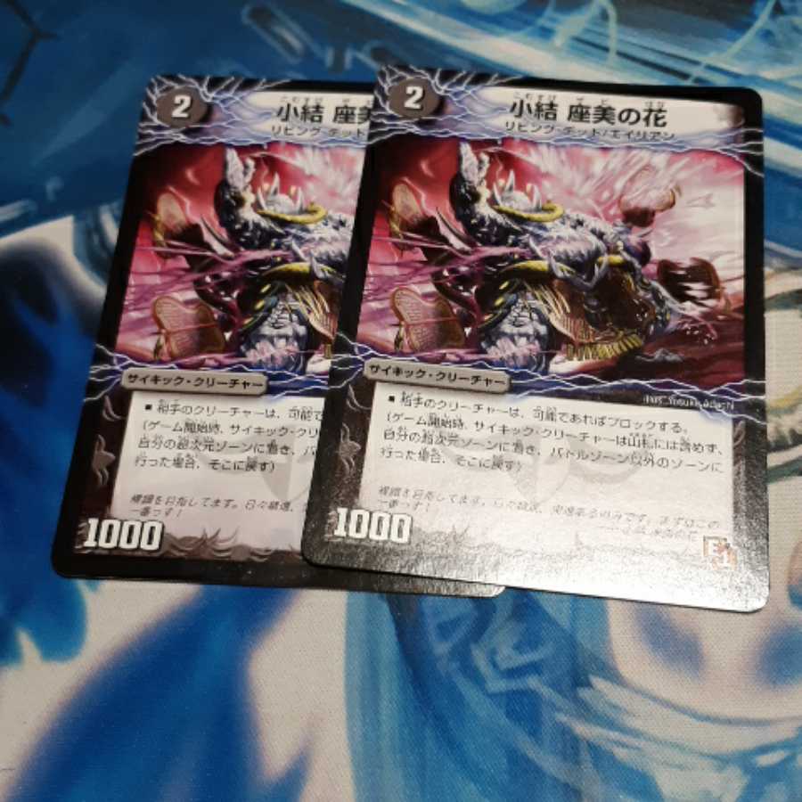 小結 座美の花|雲龍 ディス・イズ・大横綱(下) 2枚