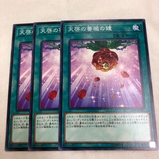 天啓の薔薇の鐘 N ヒートソウル