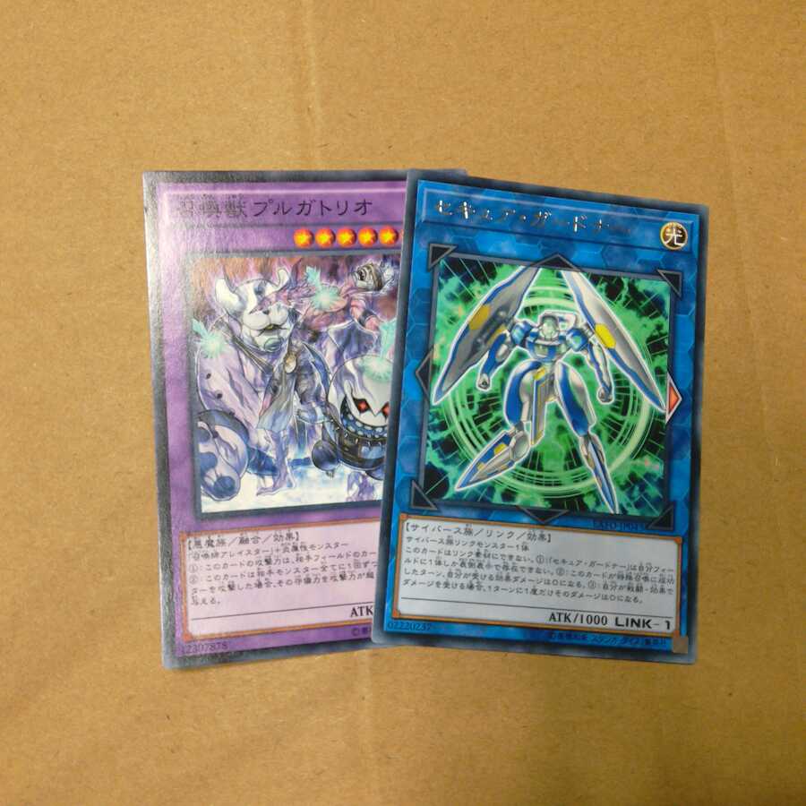 セキュア・ガードナー R(字レア) &プルガトリオ ❆バシャラ