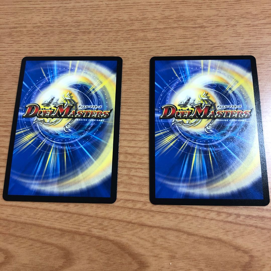 「絶対の楯騎士」 2枚