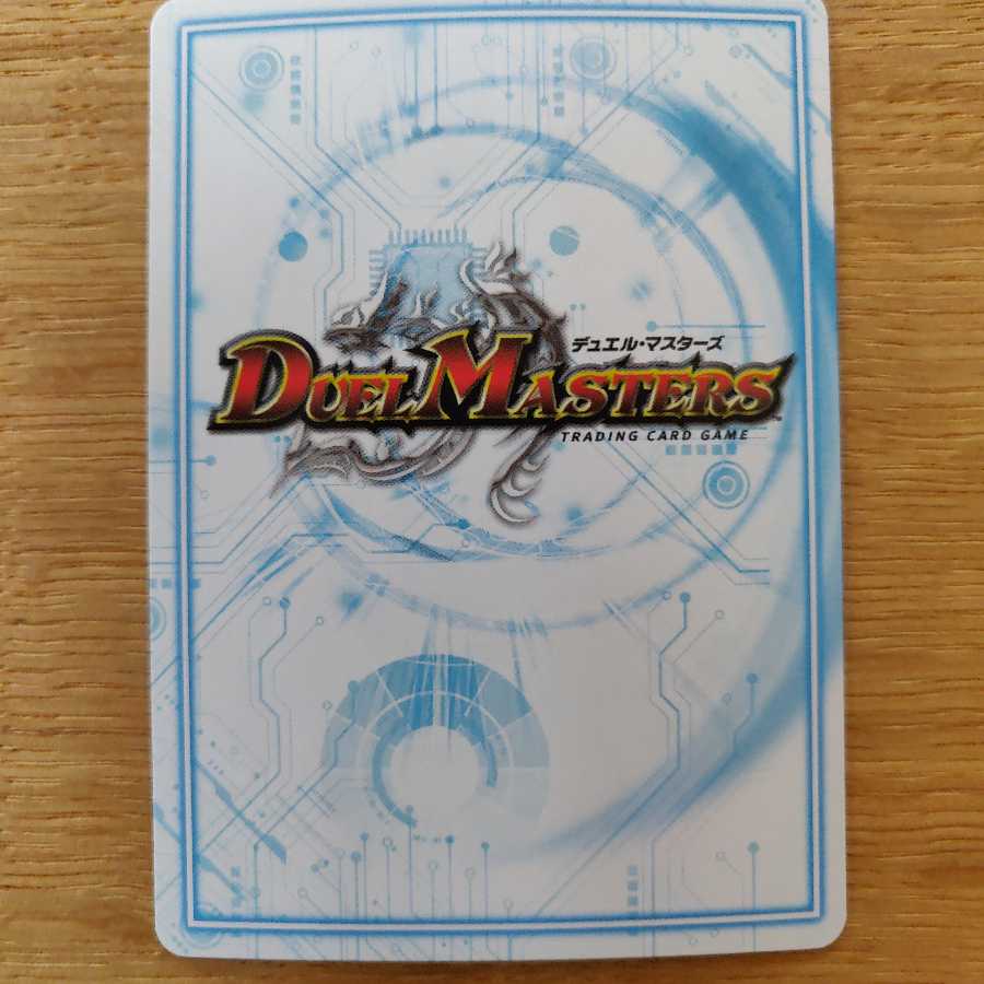 ザーク卍ウィンガー(取り置き中)