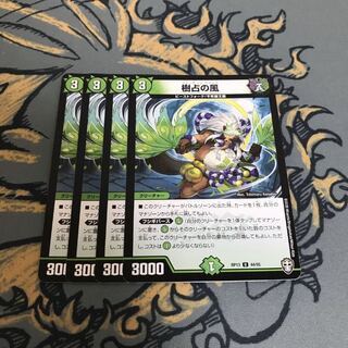 ◯即日発送　樹占の風　4枚