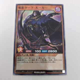 邪影ダークルーカー