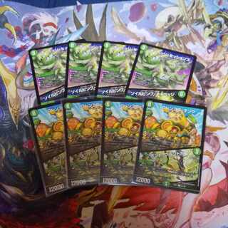 キャベッジ・セッションズ｜ソイルピンプ・キャベッジ＋コレンココ・タンク｜ボント・プラントボ　8枚セット