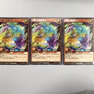 守護の竜魔道士