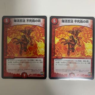 爆流忍法 不死鳥の術