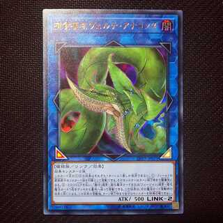 【オマケ付き】捕食植物ヴェルテ・アナコンダ　ウルトラレア