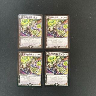 DM 真滅の信徒ジンジャー アンコモン 4枚セット5