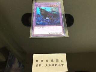 テセウスの魔棲物 スーパー B