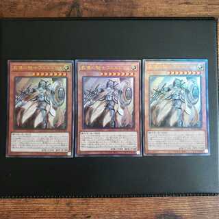 教導の騎士フルルドリス　レリーフ