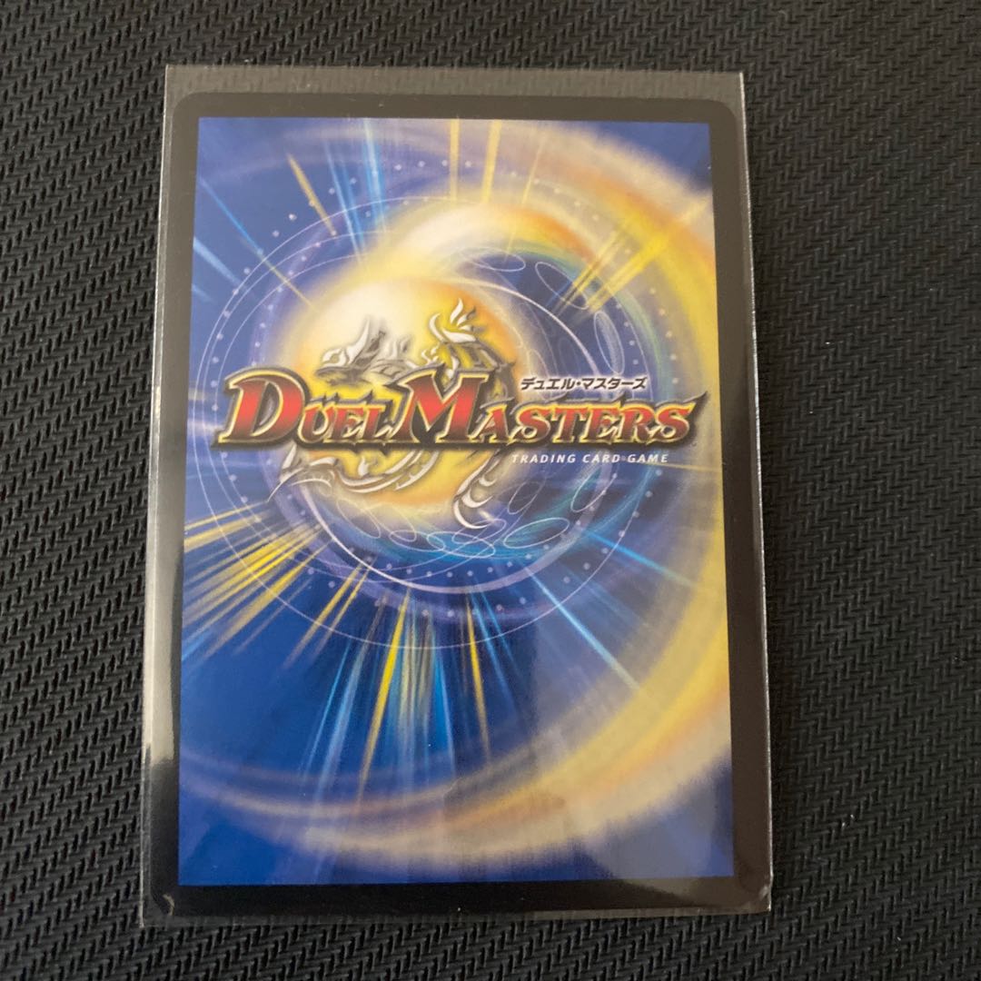 「絶対の楯騎士」　アブソリュート・シールドナイト