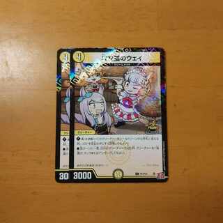 注文猫のウェイ C 70/89　プロモ