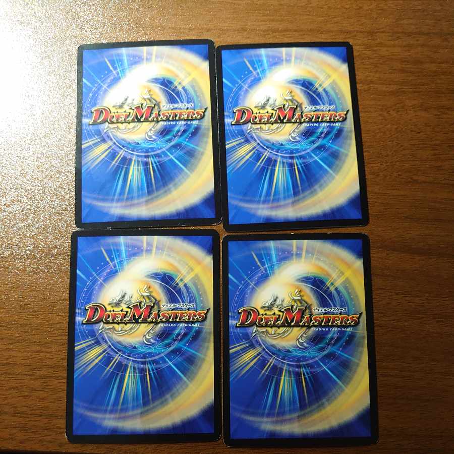 堅珠ノ正裁Z R 13/94