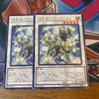 源竜星-ボウテンコウ R×2