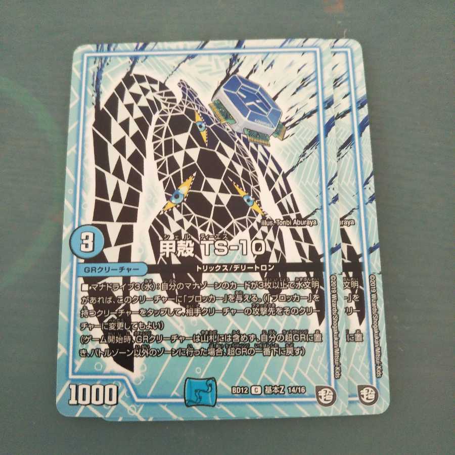 甲殻 TS-10 2枚セット