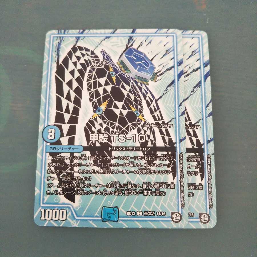 甲殻 TS-10 ２枚セット