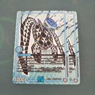 甲殻 TS-10 ２枚セット