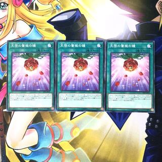 天啓の薔薇の鐘 N 3枚 4