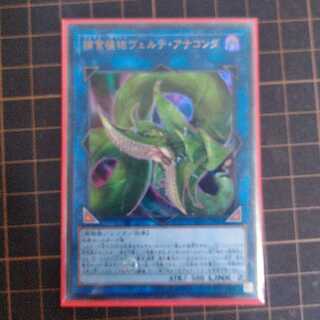 捕食植物ヴェルテ・アナコンダ一枚