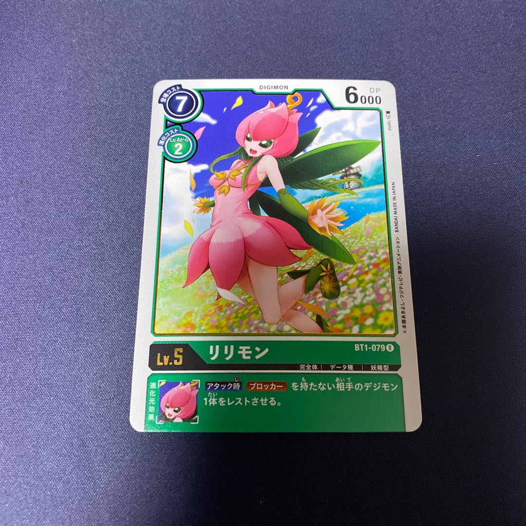 【注文商品】かぼ様 #銀河出品