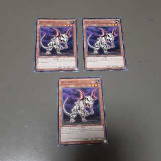 チュウボーン(N)