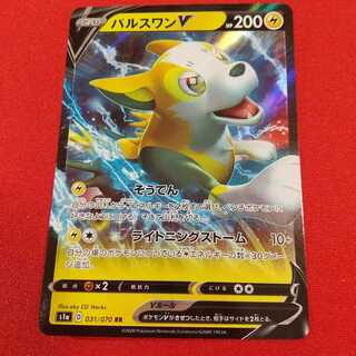 パルスワンV RR 回収ネット U 各1枚 システィー様