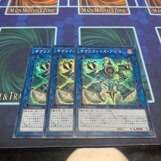 サクリファイス・アニマ