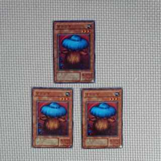 遊戯王 マタンゴ 2期 ノーマル 3枚