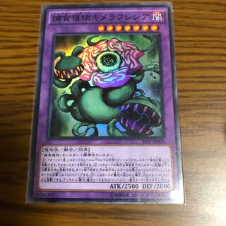 捕食植物キメラフレシア SR