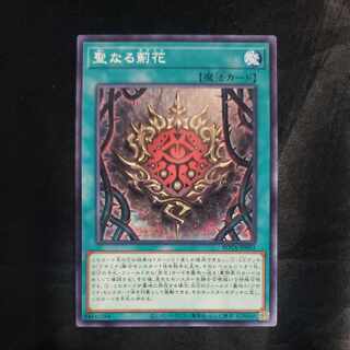 Sacred thistle flower Normal ROTA-JP053