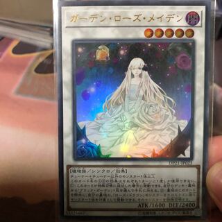 ガーデン・ローズ・メイデン UR