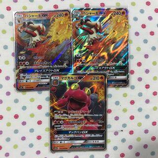 【豚肉カルビ様専用】バシャーモGX 1枚