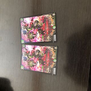 ドマンモ龍樹 2枚セット