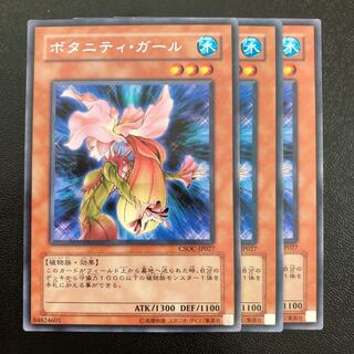 ボタニティ・ガール R