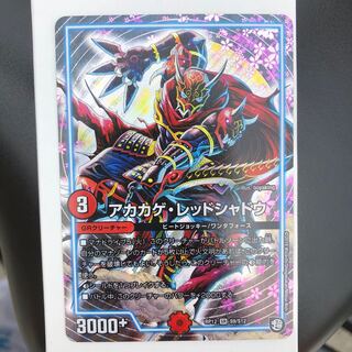 アカカゲ・レッドシャドウ