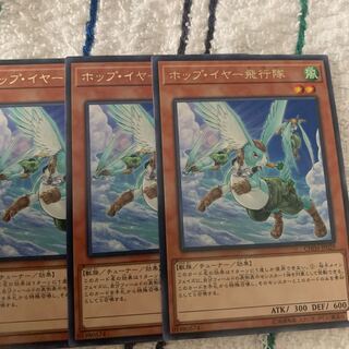 ホップ・イヤー飛行隊