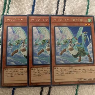 ホップ・イヤー飛行隊