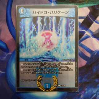 ハイドロ・ハリケーン R-foil 131/???