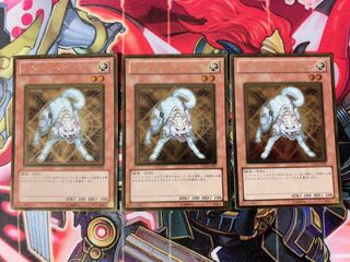 Yu-Gi-Oh! Light Road Hunter Raikou 3 copies