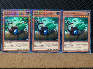 【ぽぽたん】遊戯王 6380 ナチュル・ビートル 3枚 ノーマル DT