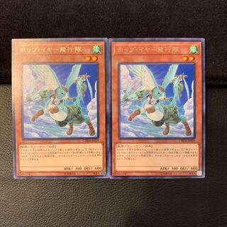 ホップ・イヤー飛行隊 R