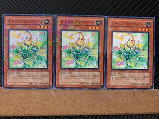 Popotan] Yu-Gi-Oh! 6376 Naturia Ragweed 3 sheets Normal DT