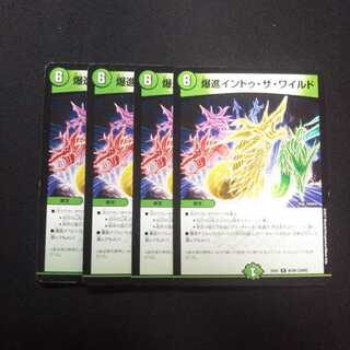 B264 爆進イントゥ・ザ・ワイルド 4枚セット デュエマ トレトレ